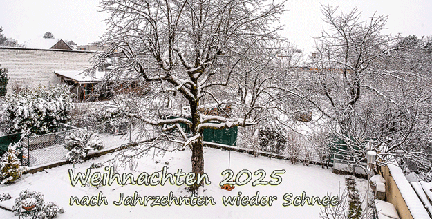 Unser Garten erstmals nach Jahrzehnten im Schnee am Hl. Abend